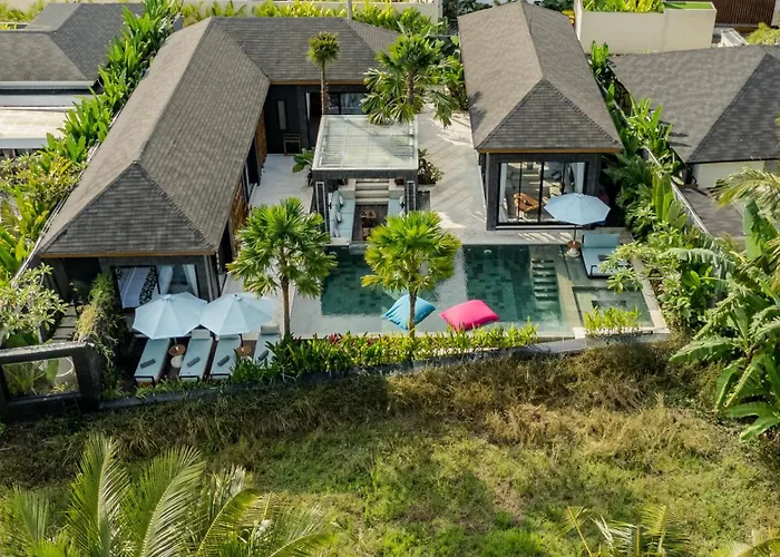 Coconut Monkey By Balisuperhost Villa Ubud