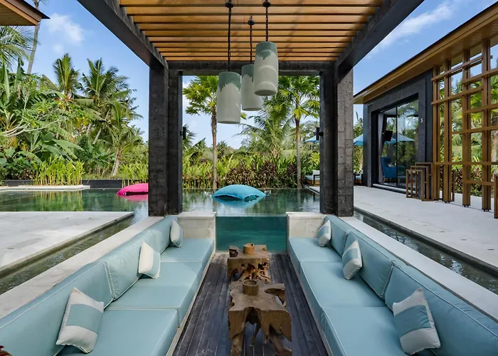 Coconut Monkey By Balisuperhost *
